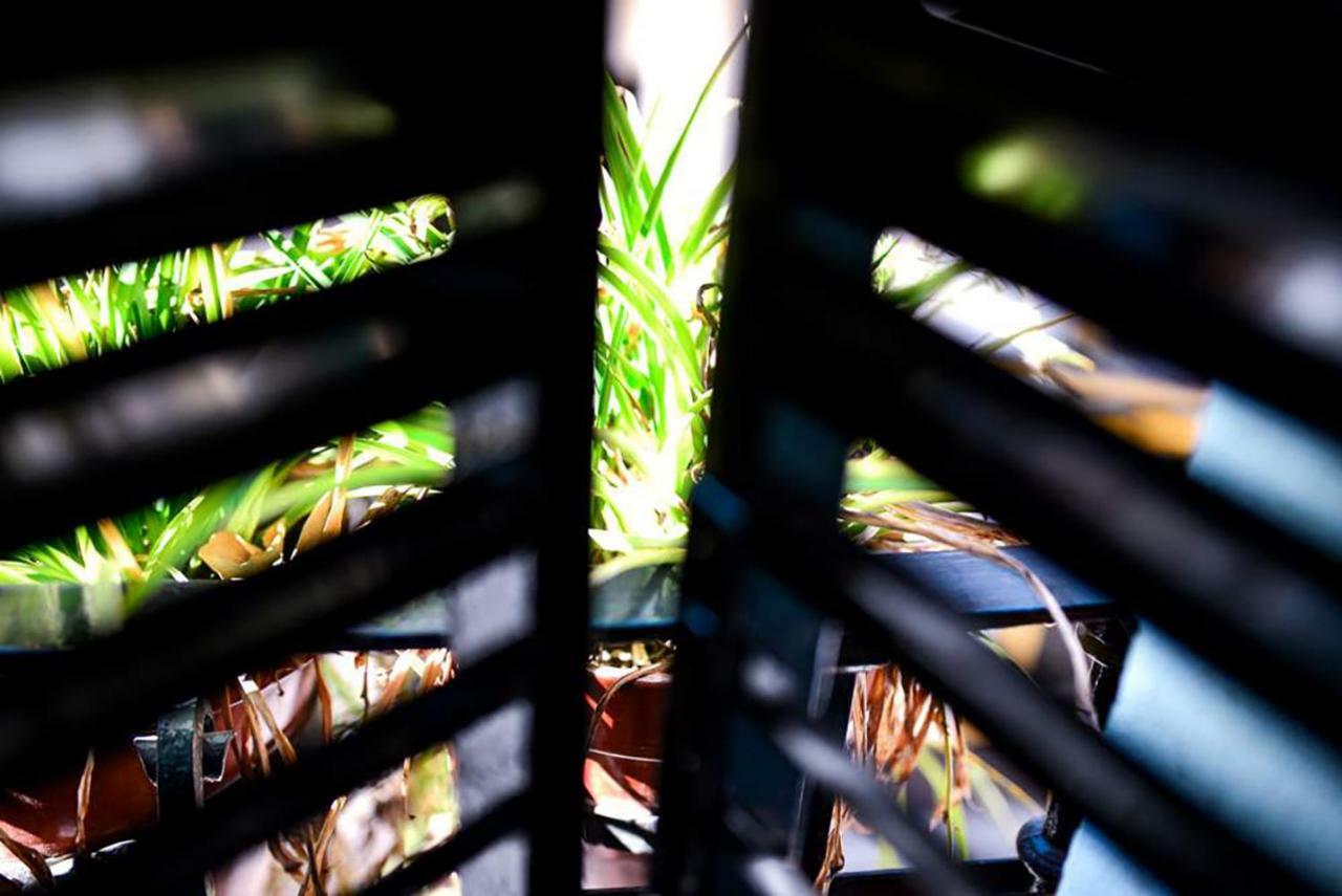 Casa Alfalfa 2 Dormitorios Terraza Y Solarium Privado Sevilla Kültér fotó