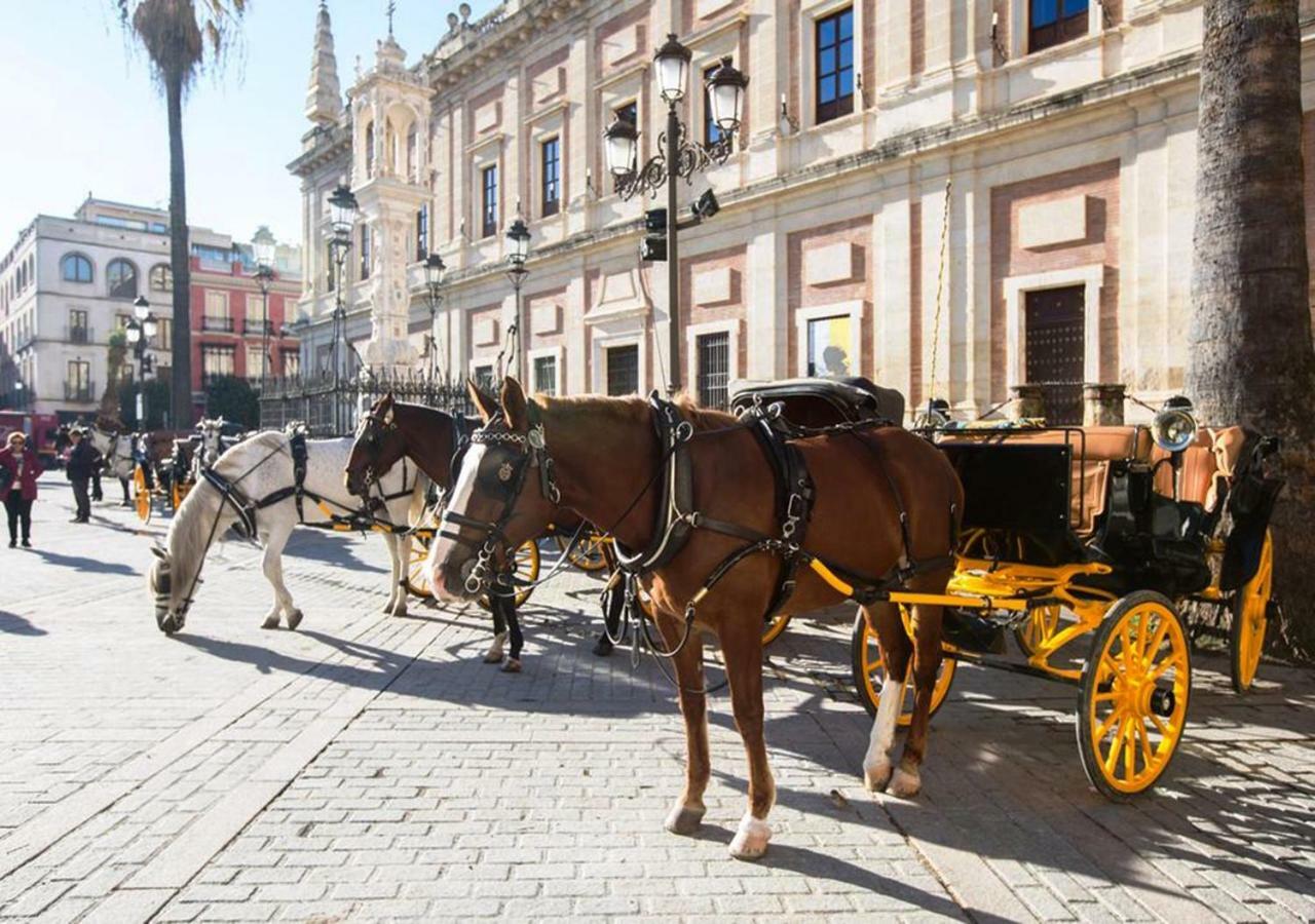 Casa Alfalfa 2 Dormitorios Terraza Y Solarium Privado Sevilla Kültér fotó