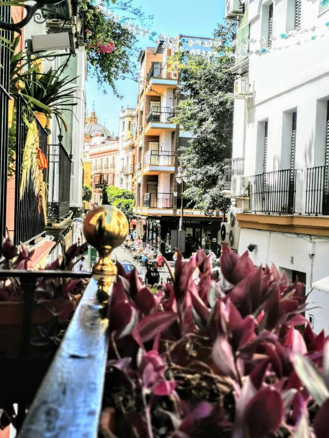 Casa Alfalfa 2 Dormitorios Terraza Y Solarium Privado Sevilla Kültér fotó